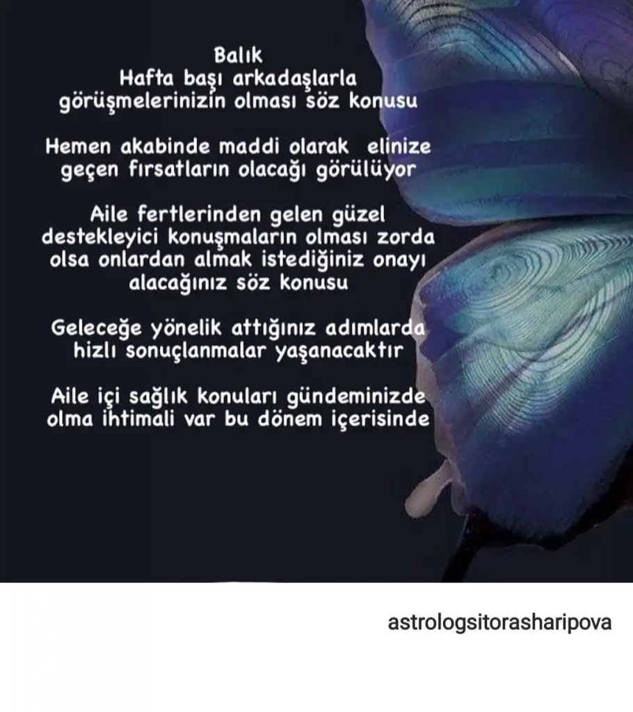 1h (12).webp