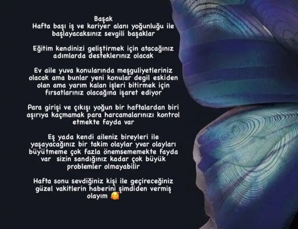 1h (6).webp