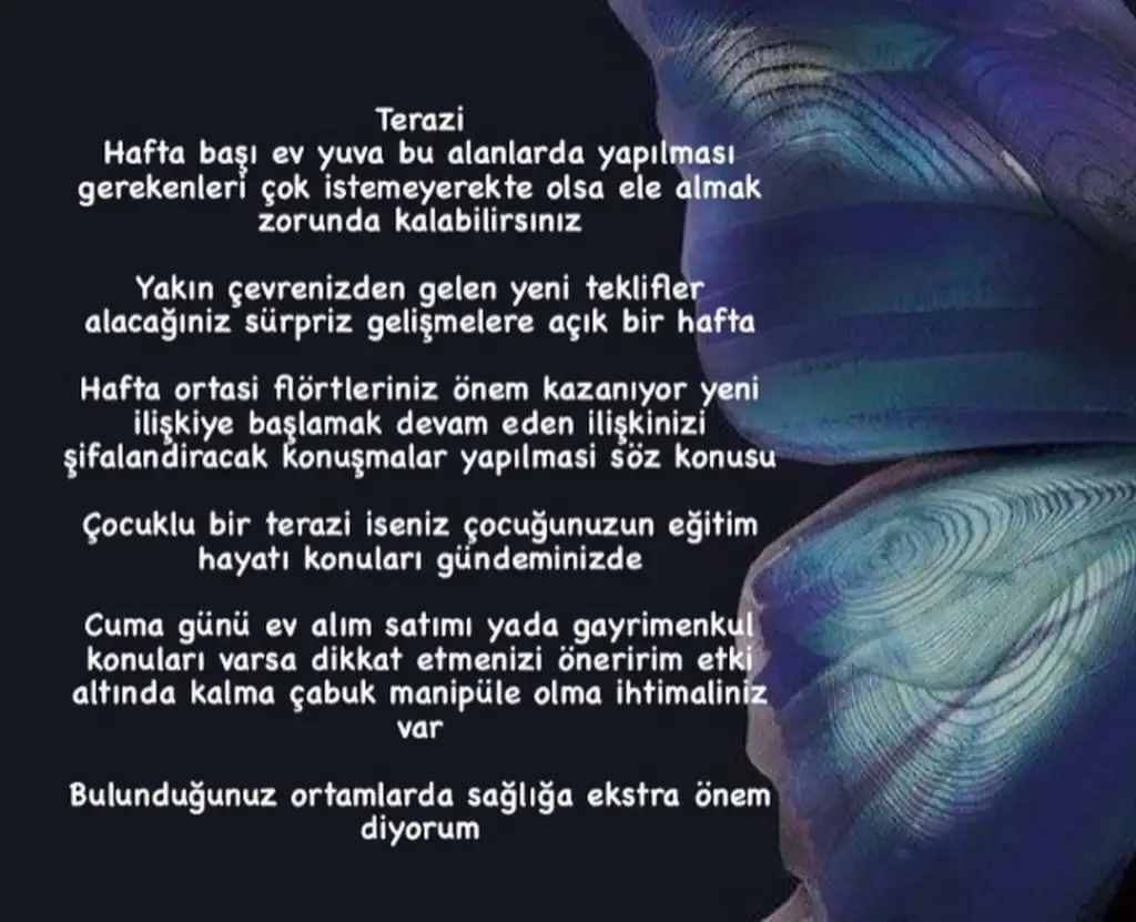 1h (7).webp