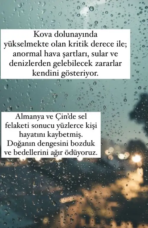 1kov (3).webp