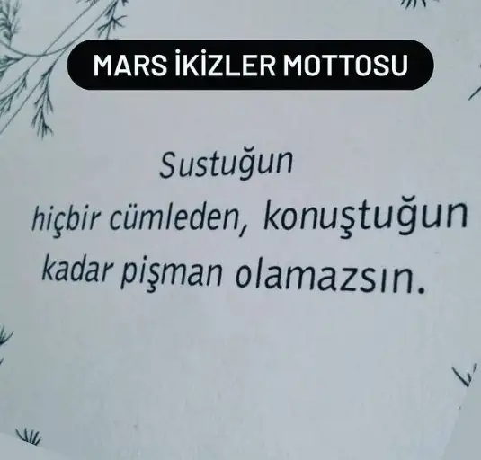 1m.webp