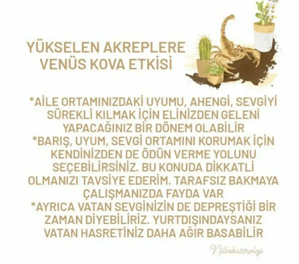 1n (8).webp