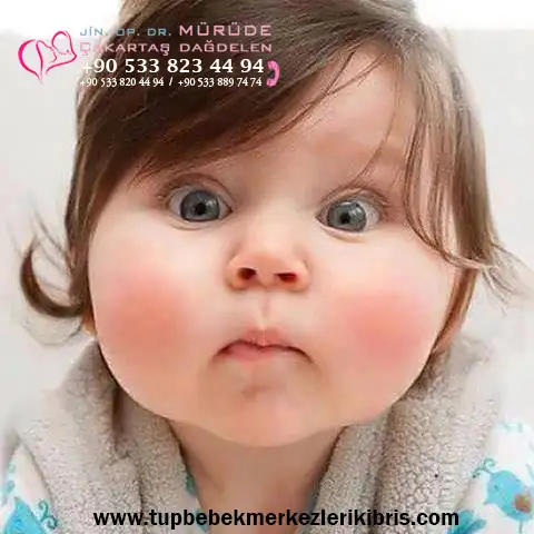 1ok_1549522_667848233252723_1476613386_n.webp