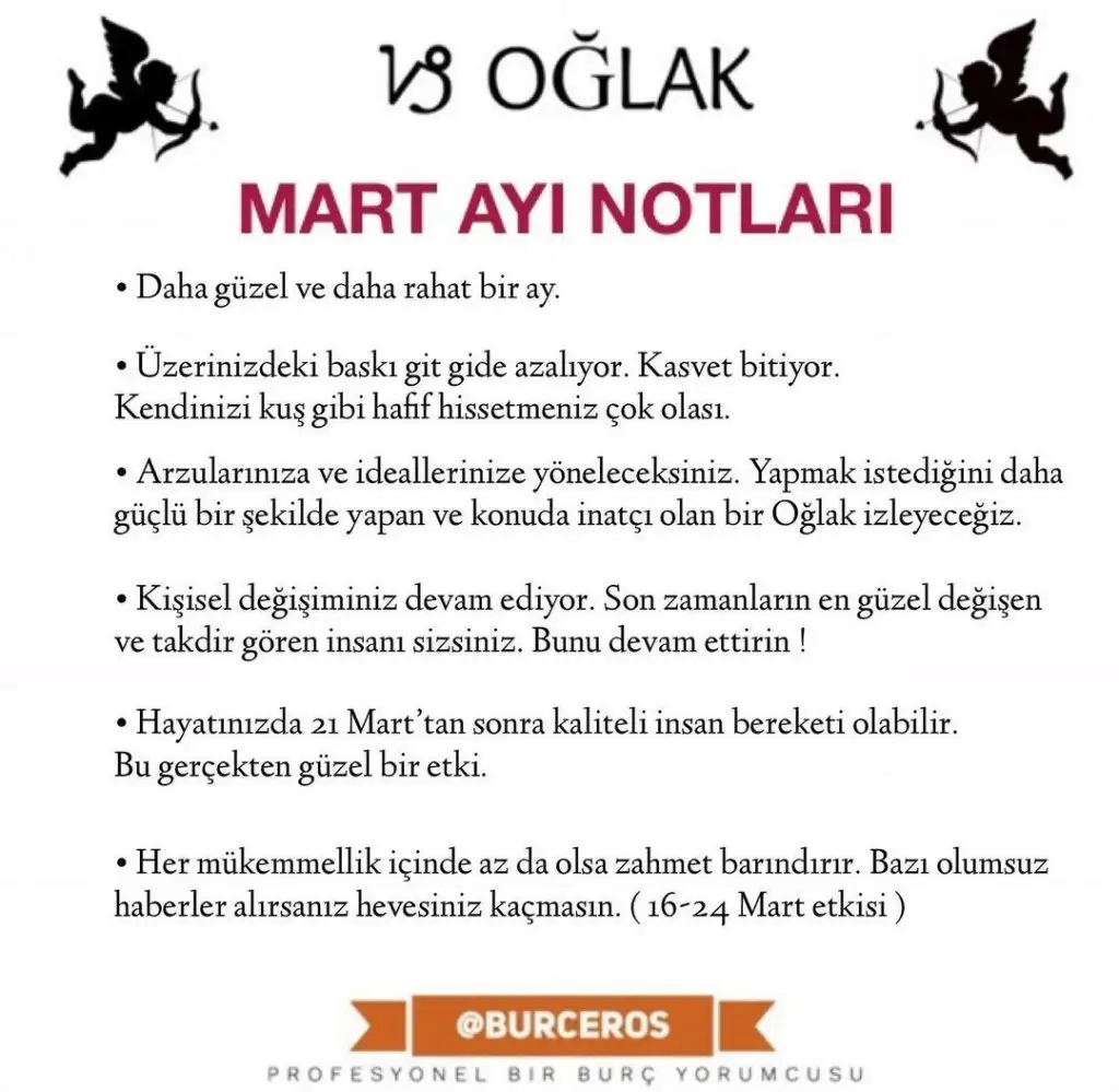 1qwe (10).webp