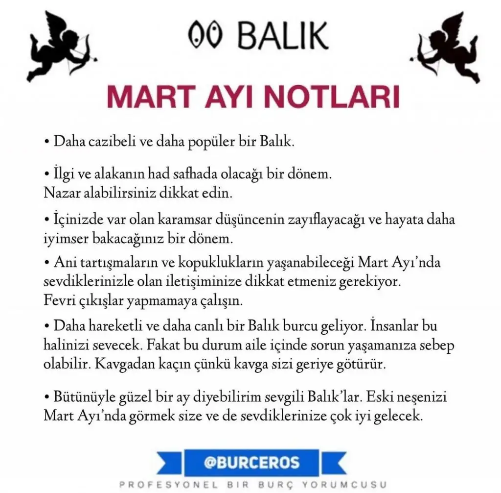 1qwe (12).webp