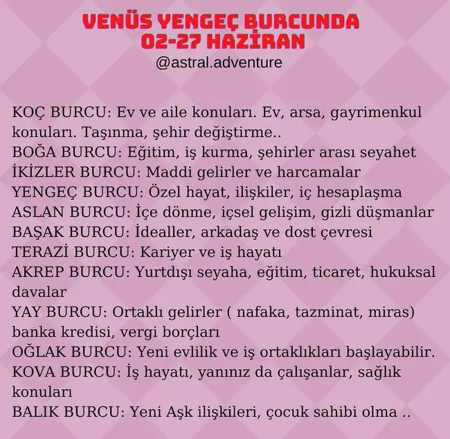 1ven (2).webp