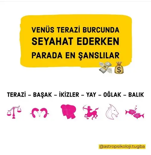 1ven (2).webp