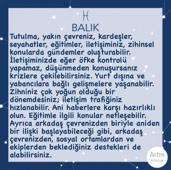 2 (13).webp