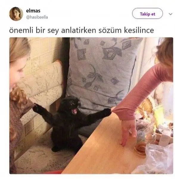 2-728x728.webp