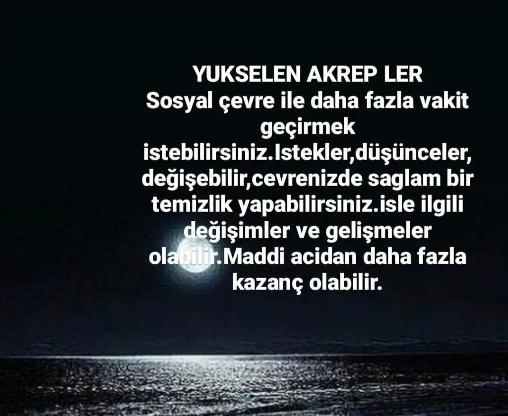 2 (8).webp