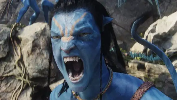 2-avatar_8237041.webp