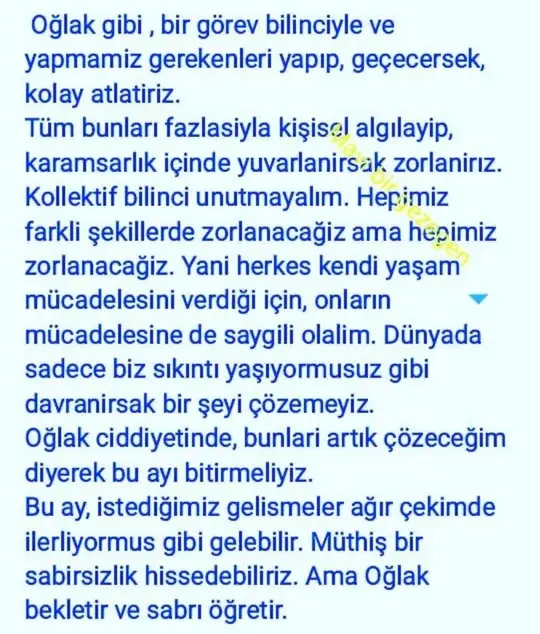2 ocak 9 (3).webp