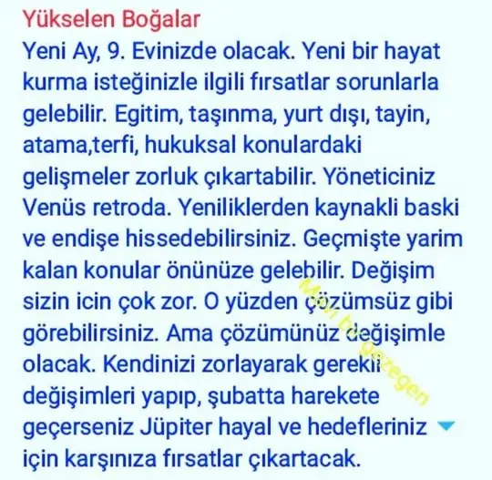 2 ocak 9 (6).webp