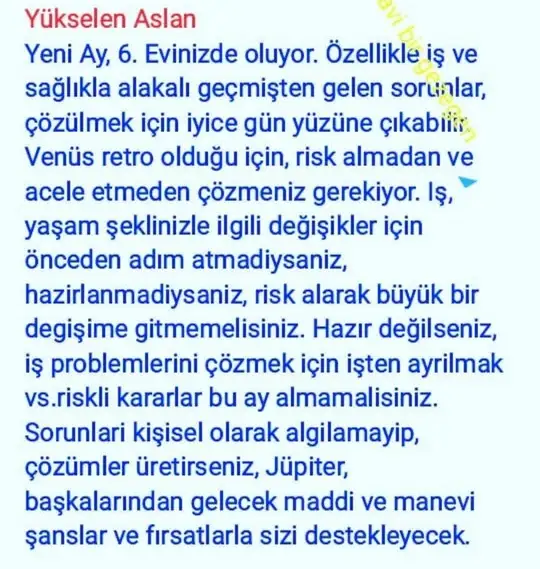2 ocak 9 (9).webp