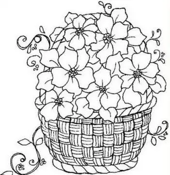 2.webp