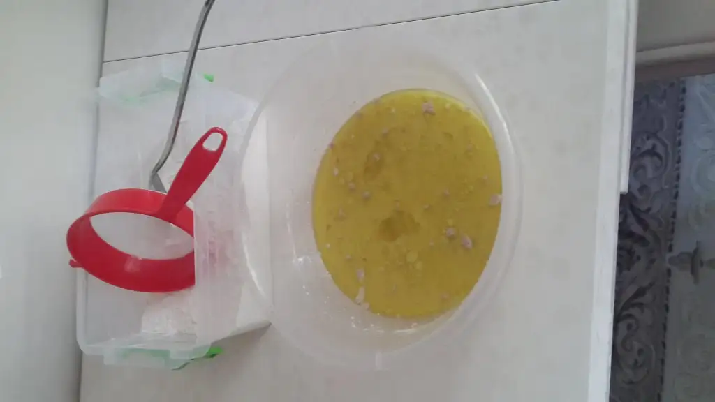 2.webp