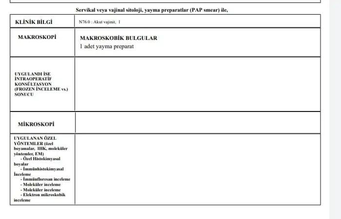 2.webp