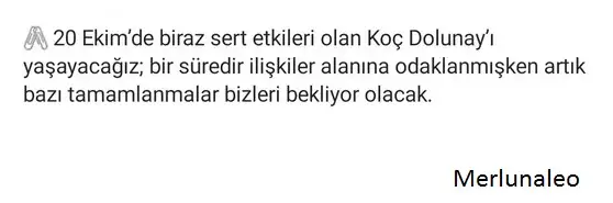 20 ek koç.webp
