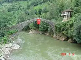 20.webp