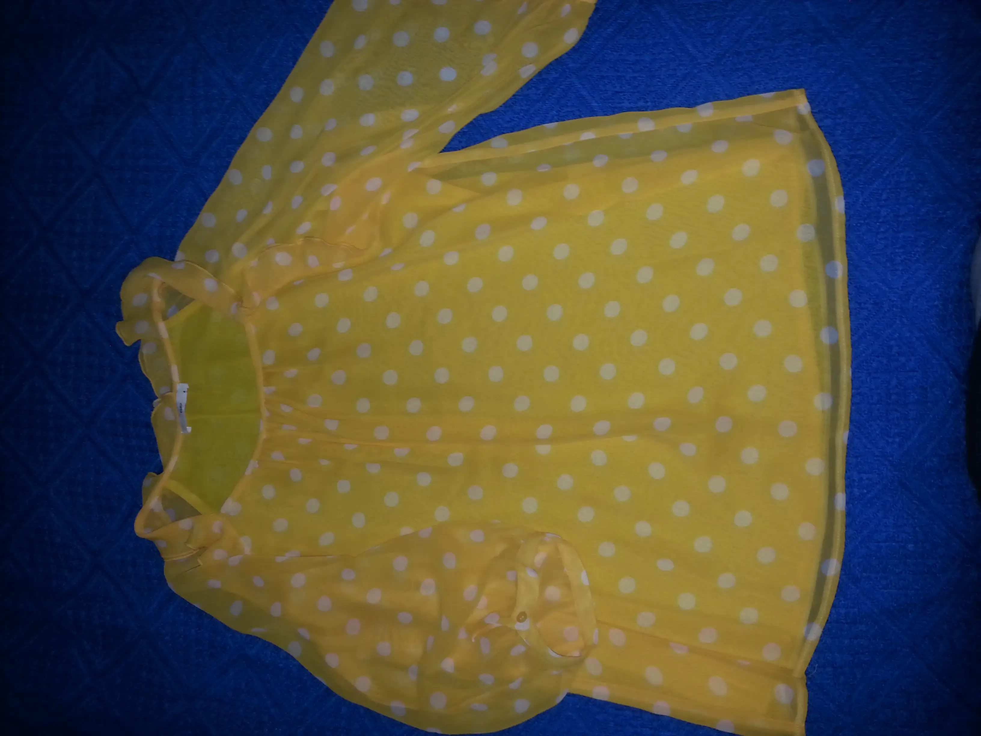 20120109_080136.webp