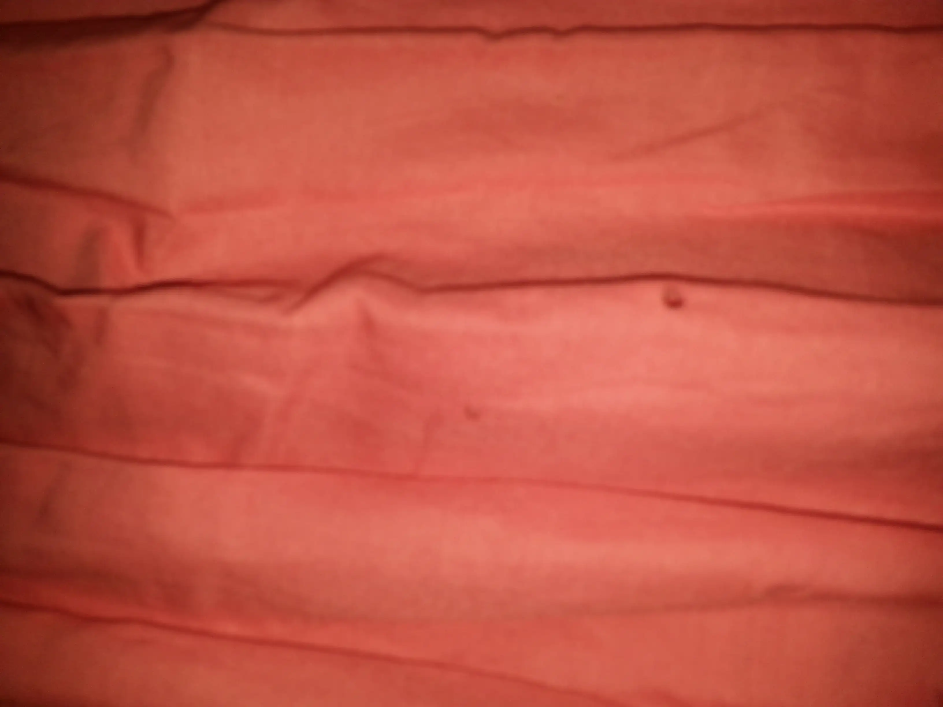 20120109_104746[1].webp