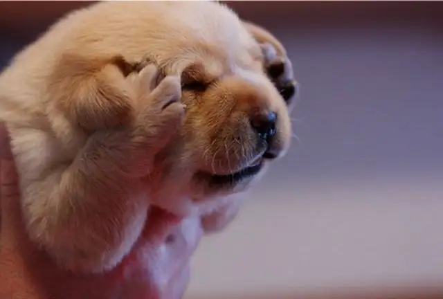 20120521201950781.webp