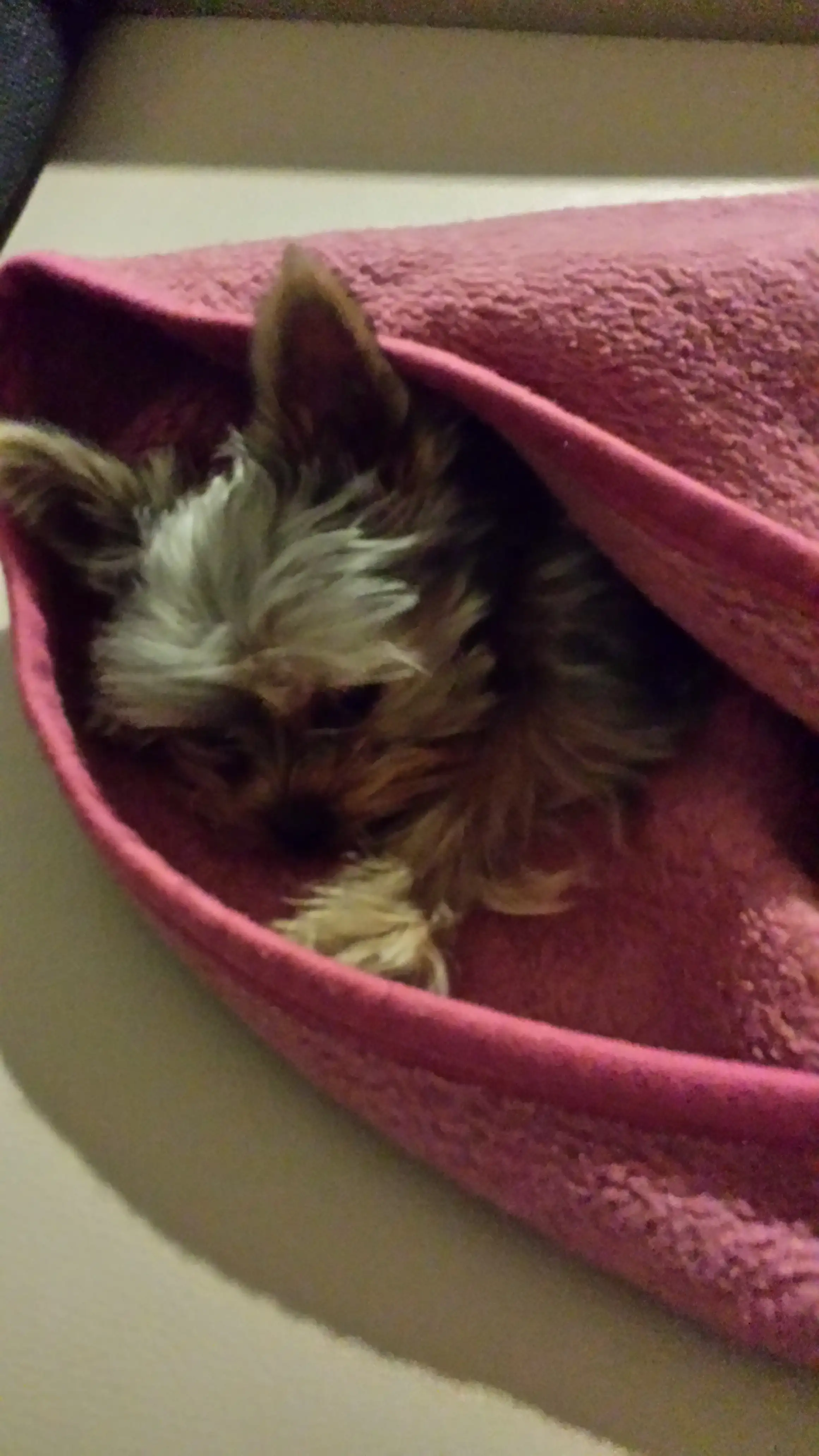 20130920_225404.webp