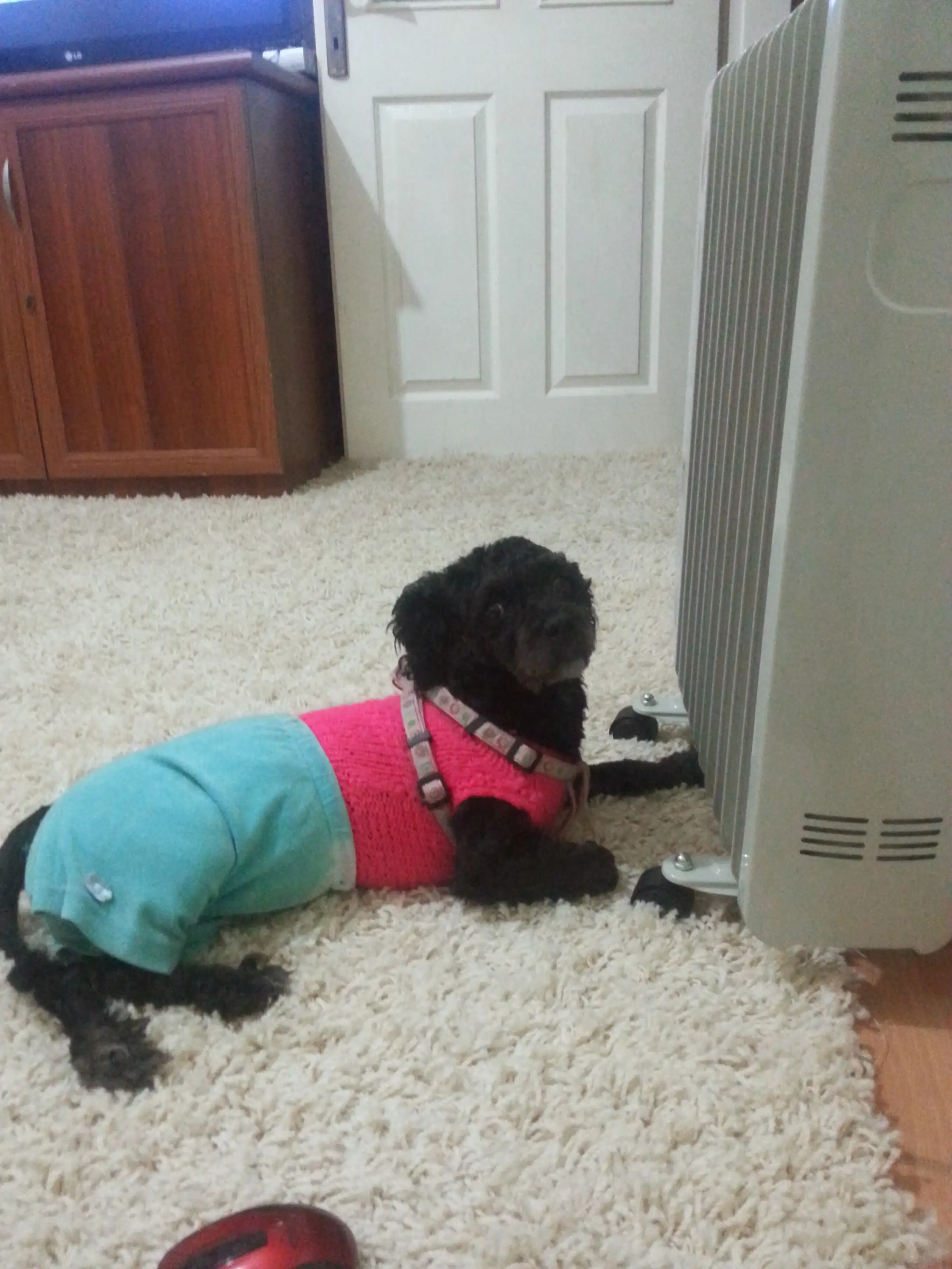 20131113_214748-1.webp