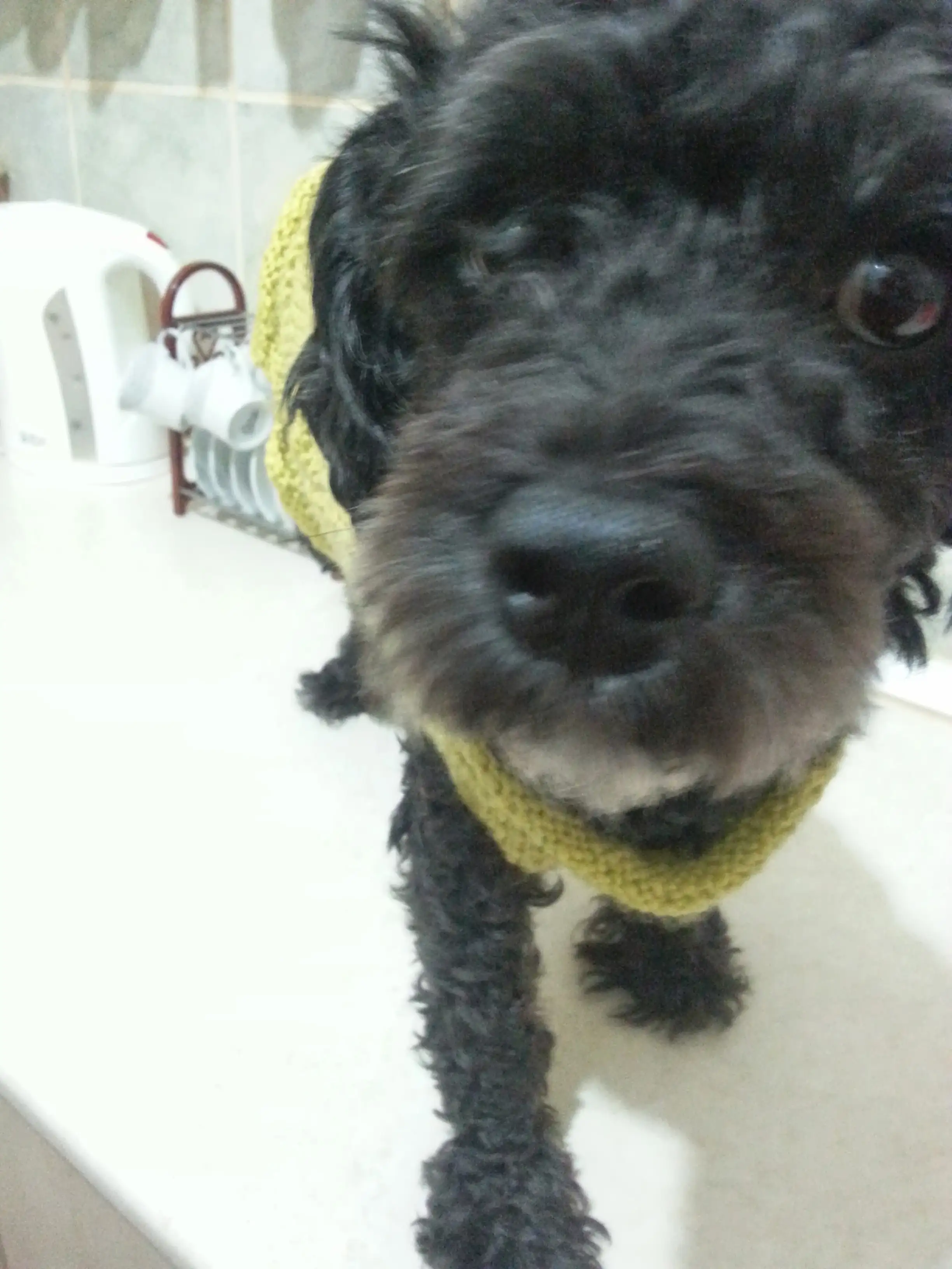 20131207_204807-1.webp