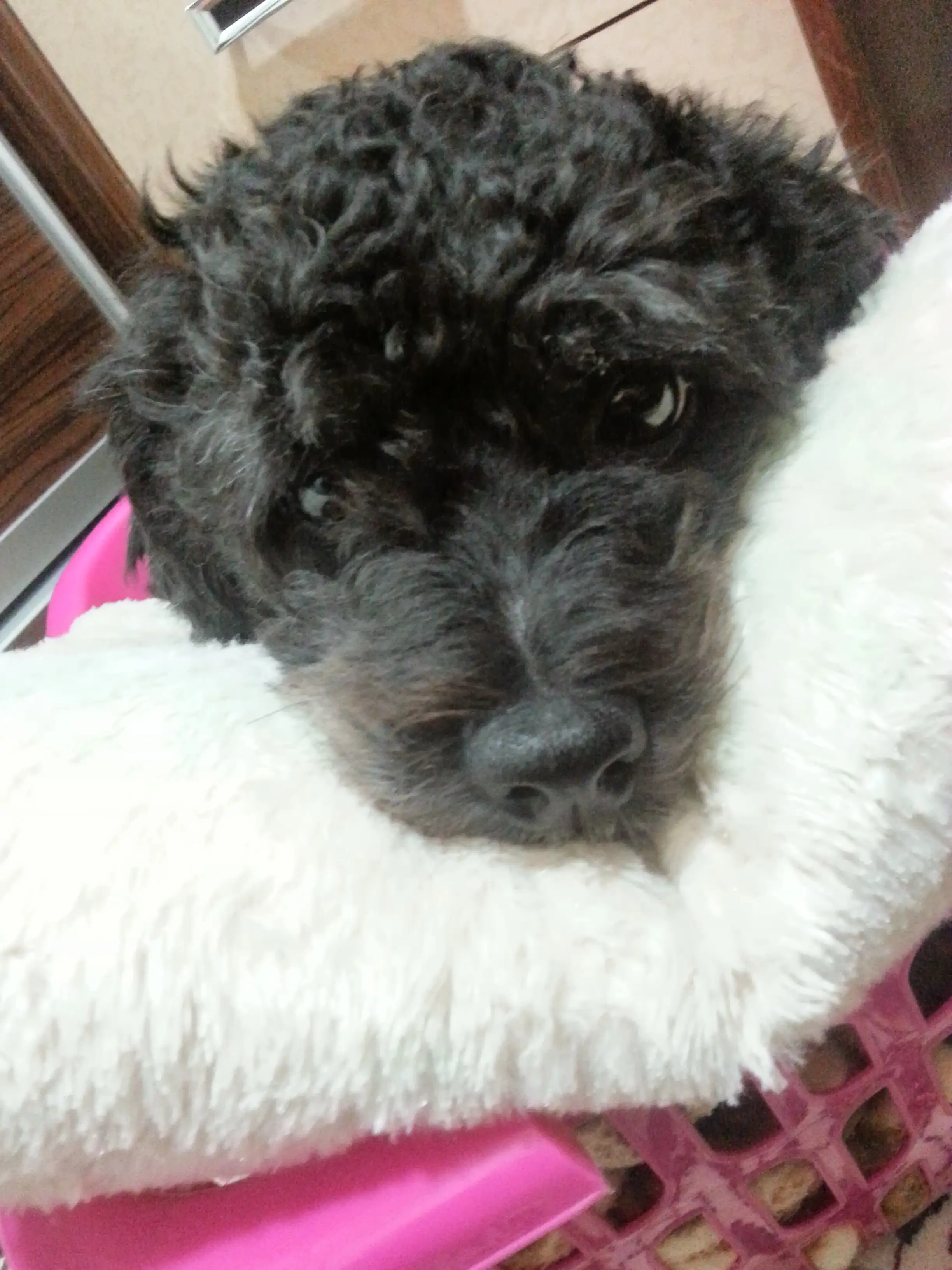 20131222_010031-1.webp