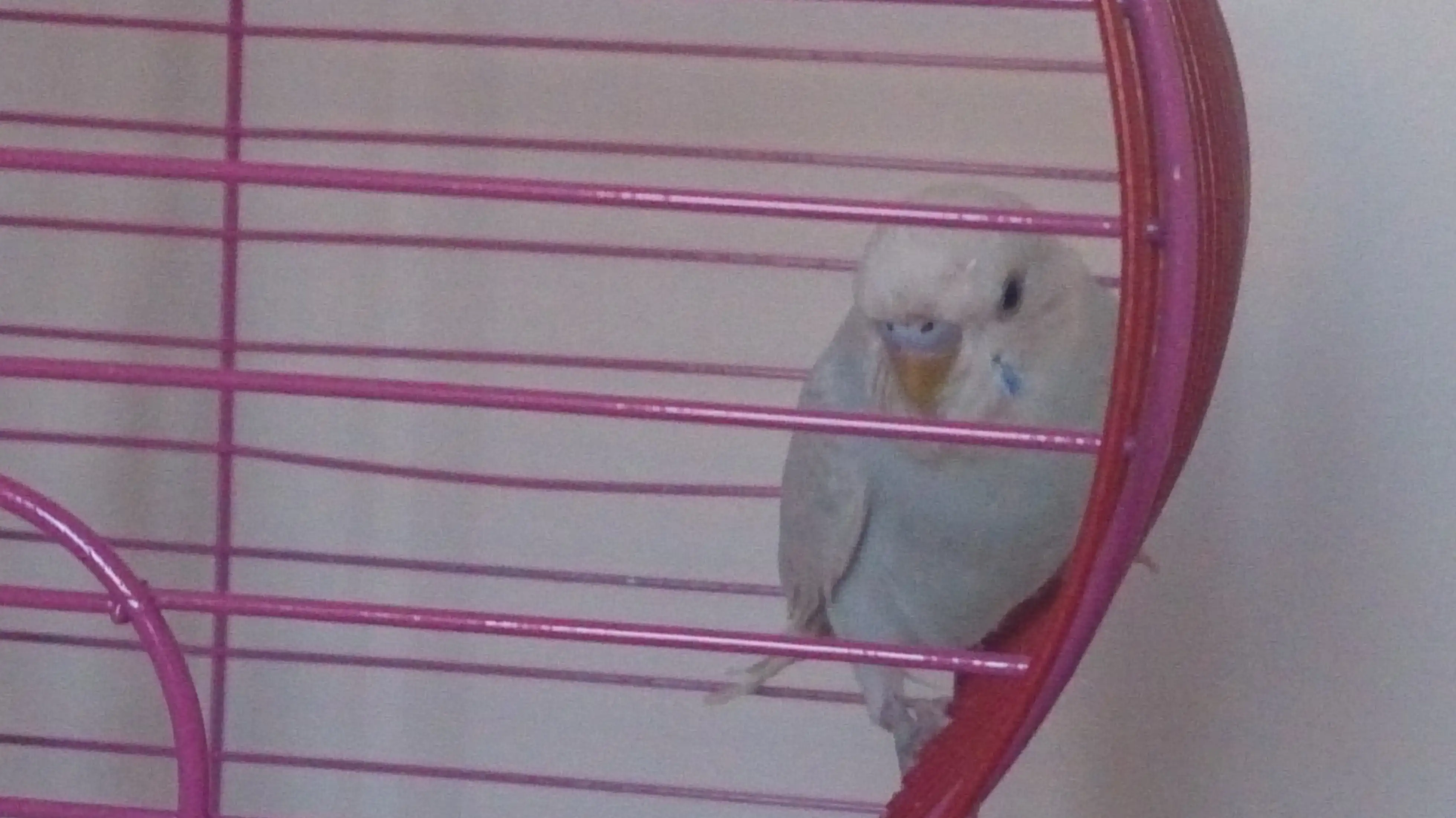 2014-09-08 18.56.00.webp