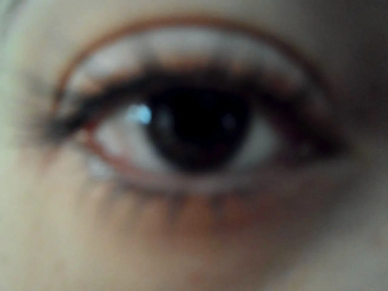 2014-10-11-10-27-51_deco.webp