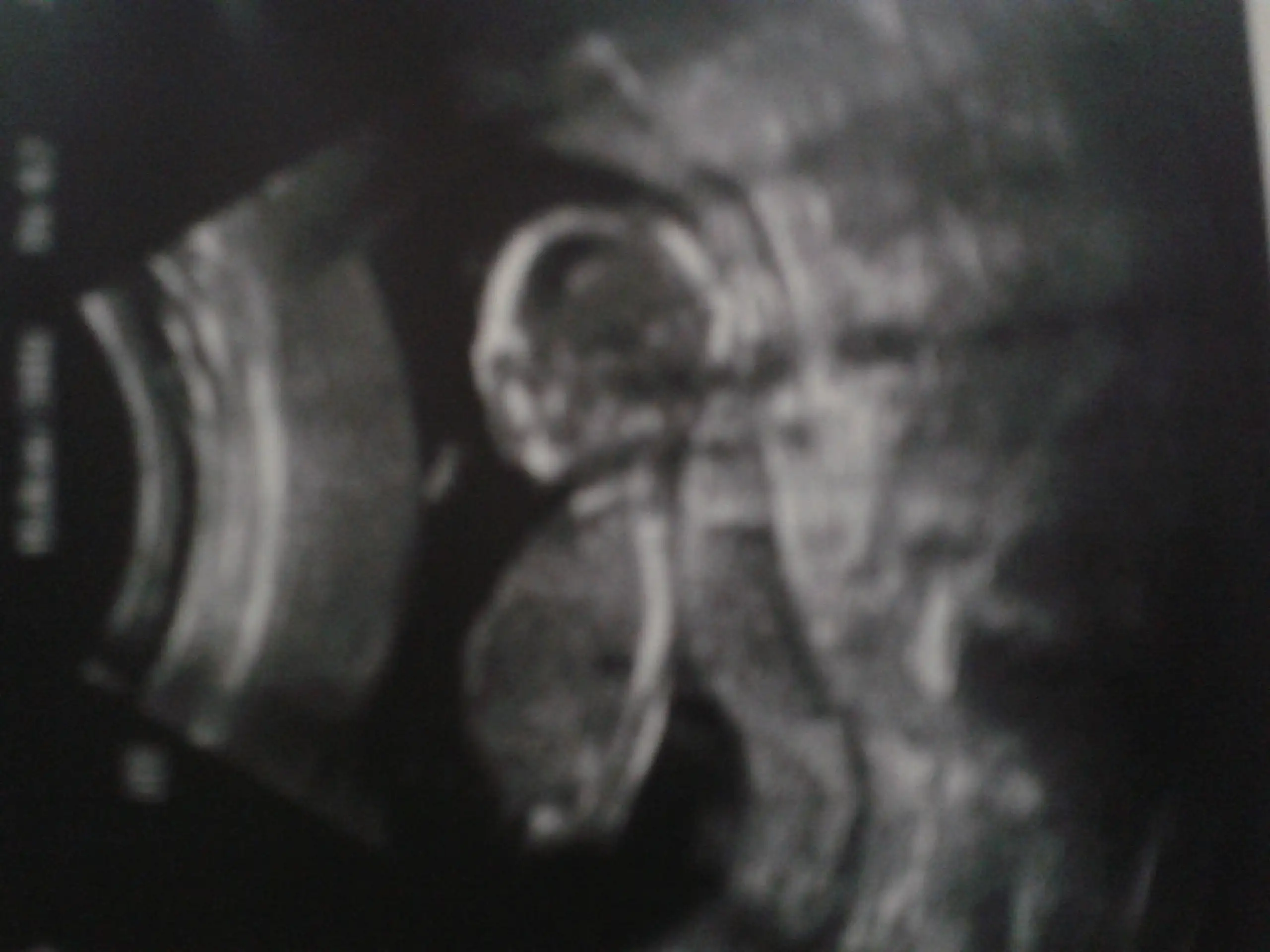 2014-10-30 20.31.44.webp