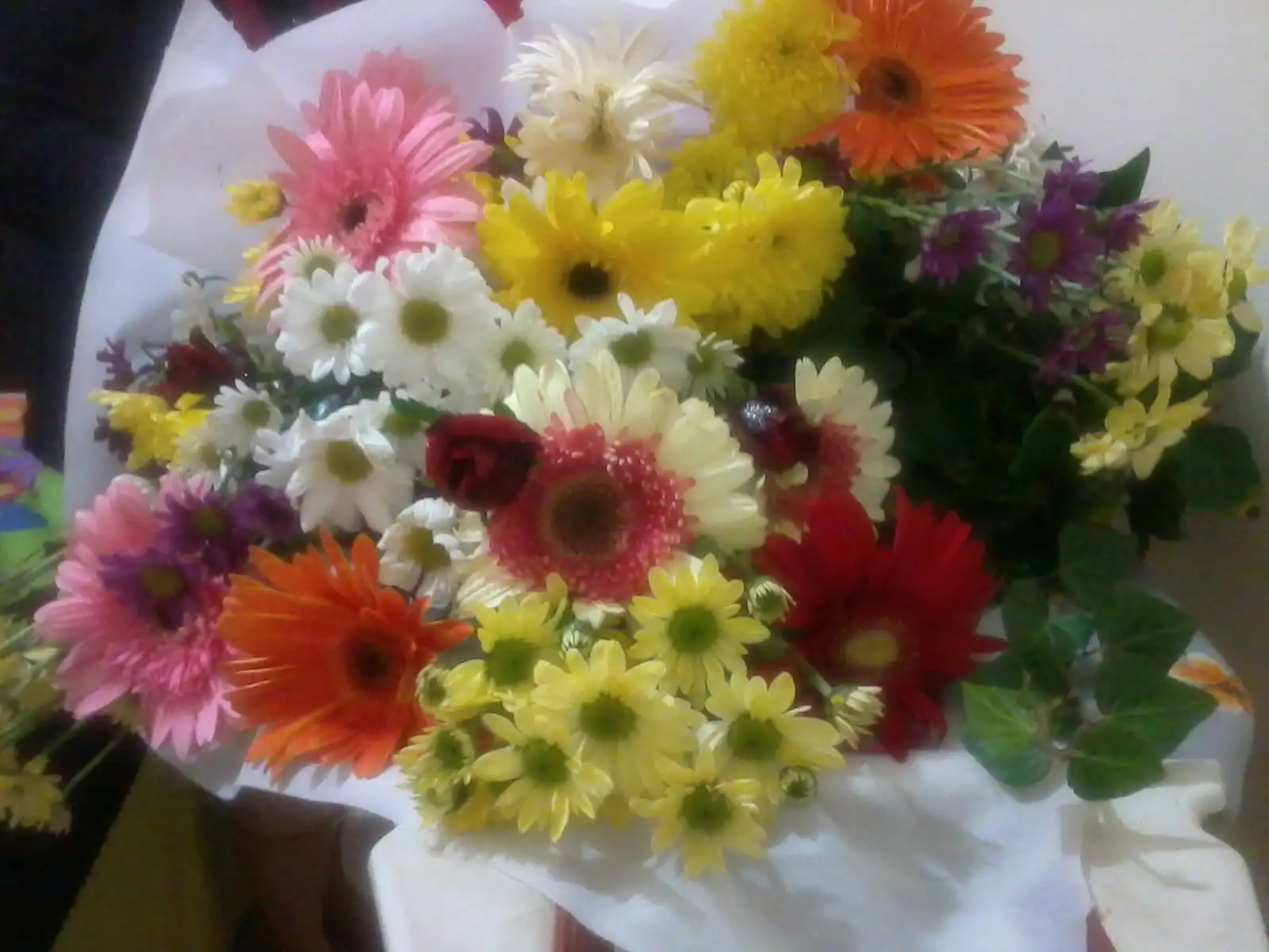 2014-11-12 00.35.11.webp
