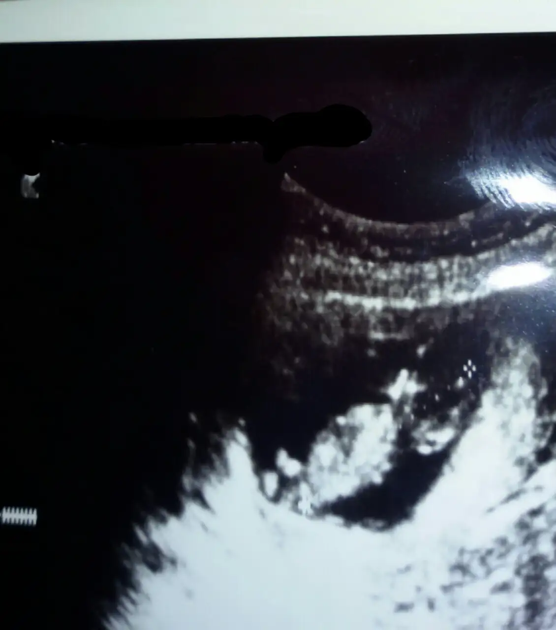 2014-11-29 10.46.41.webp