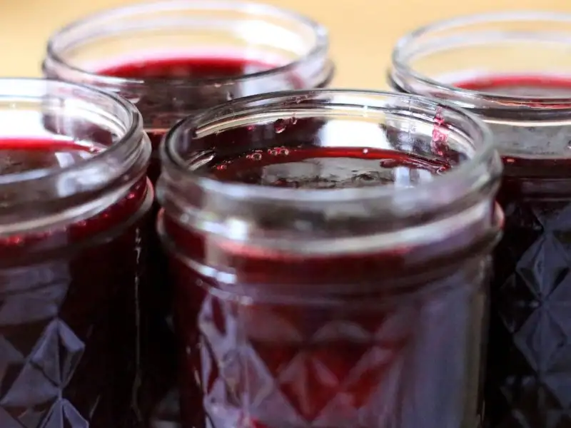 20140630-plum-jam-jarred-jennifer-latham.webp