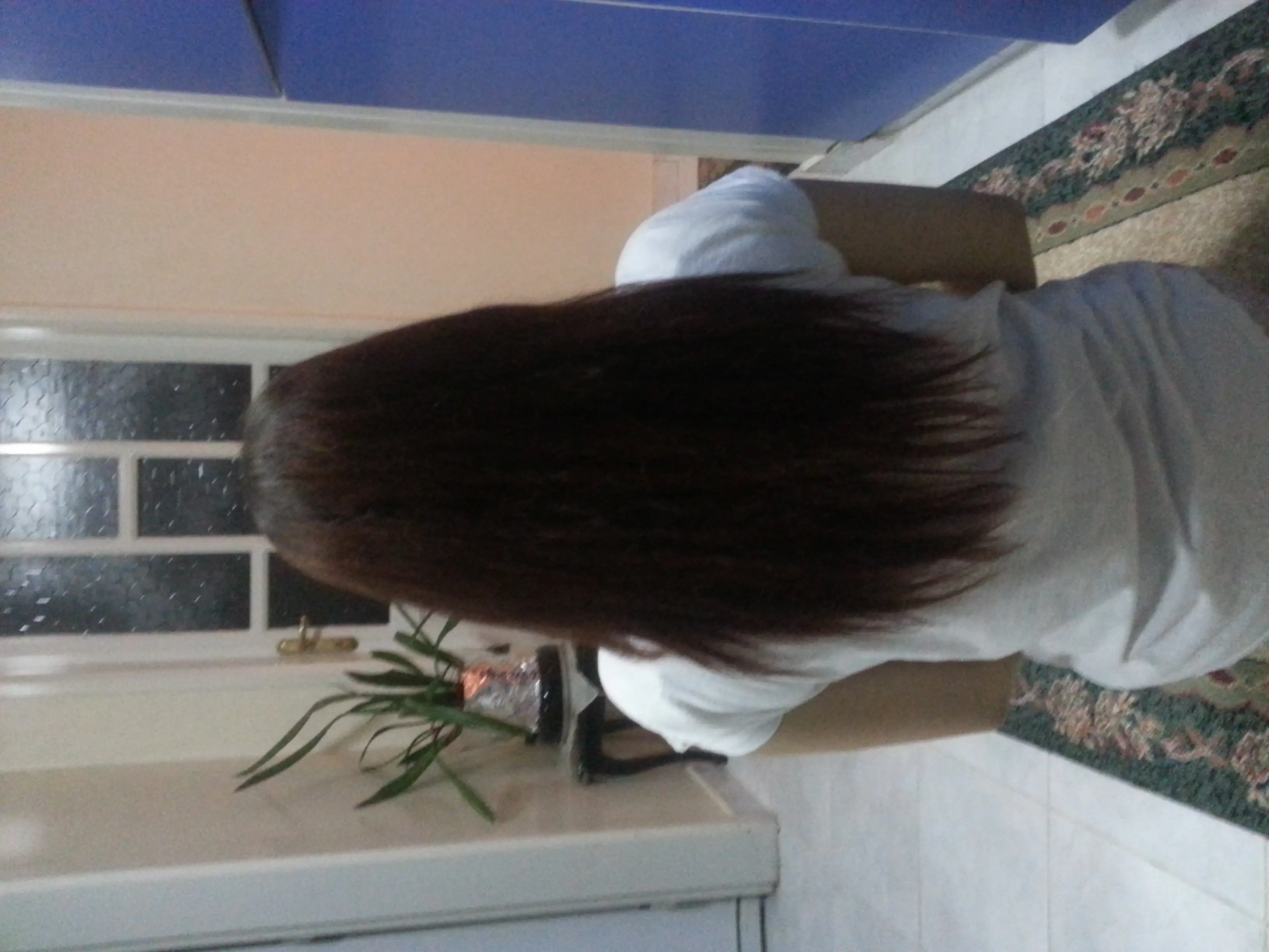 20140812_020236.webp