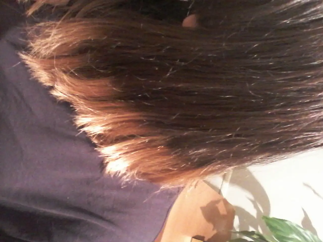 20140818_233923.webp