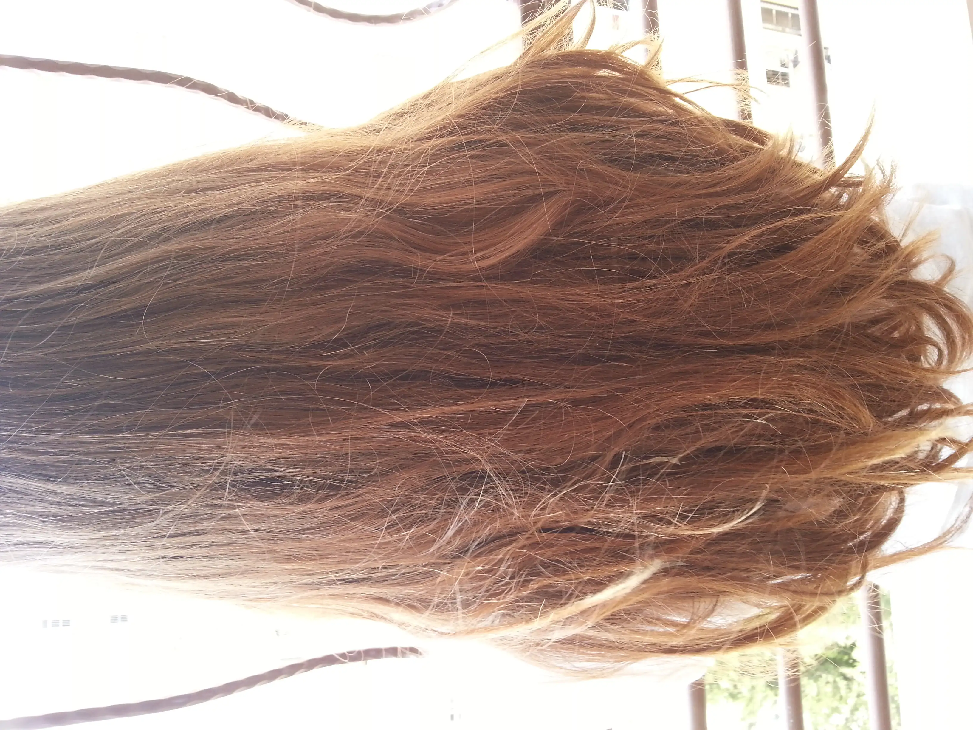 20140902_13115.webp