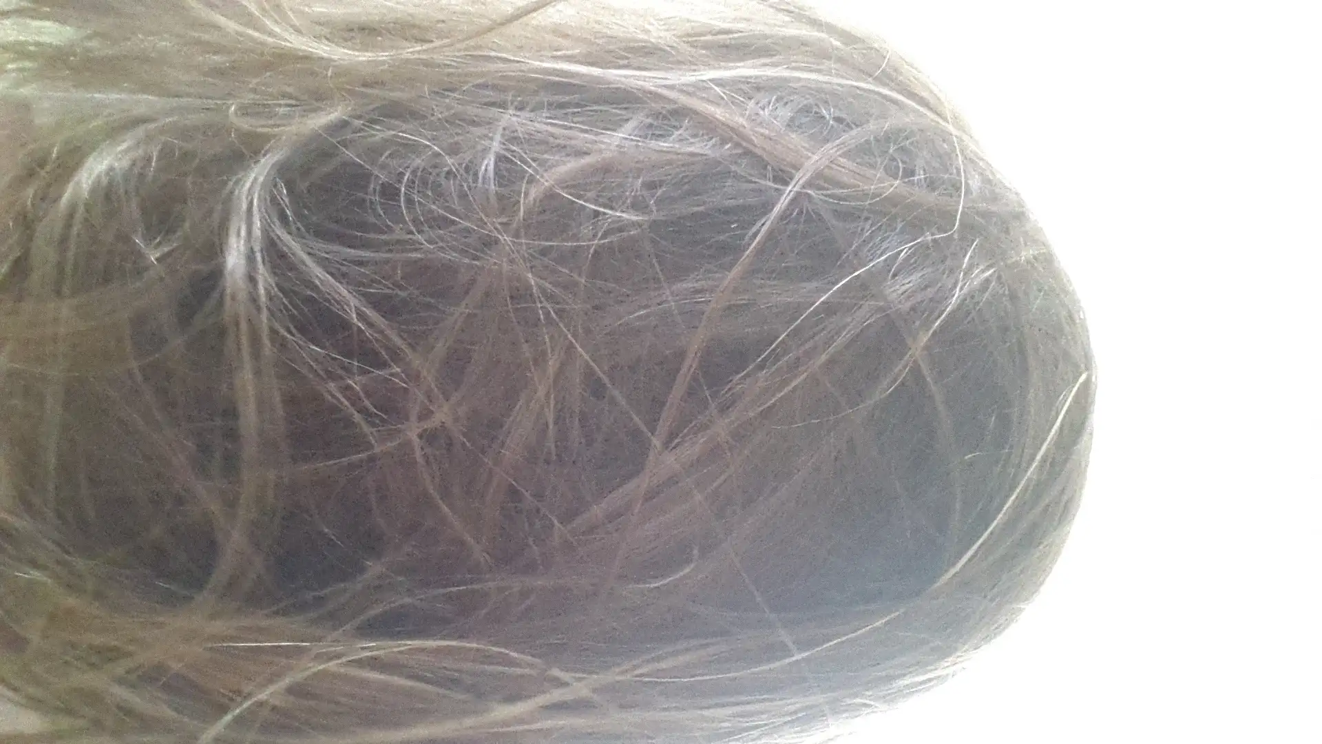 20140913_122418.webp