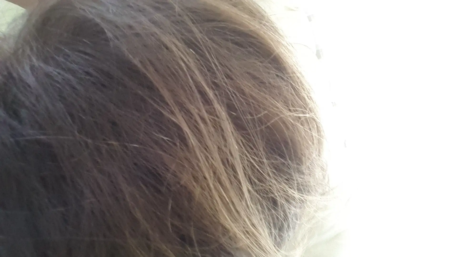 20140913_122430.webp