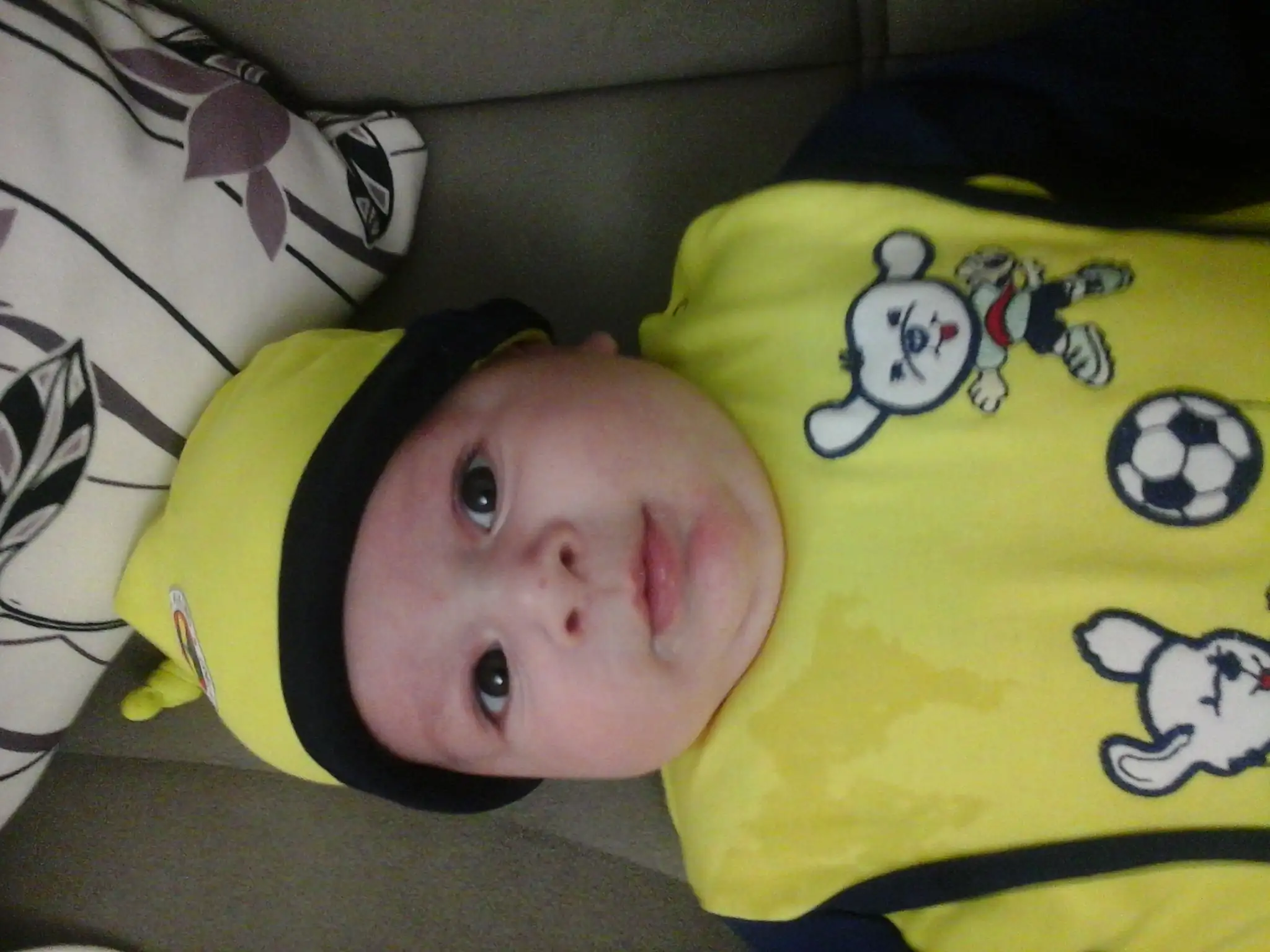 20140924_015347.webp