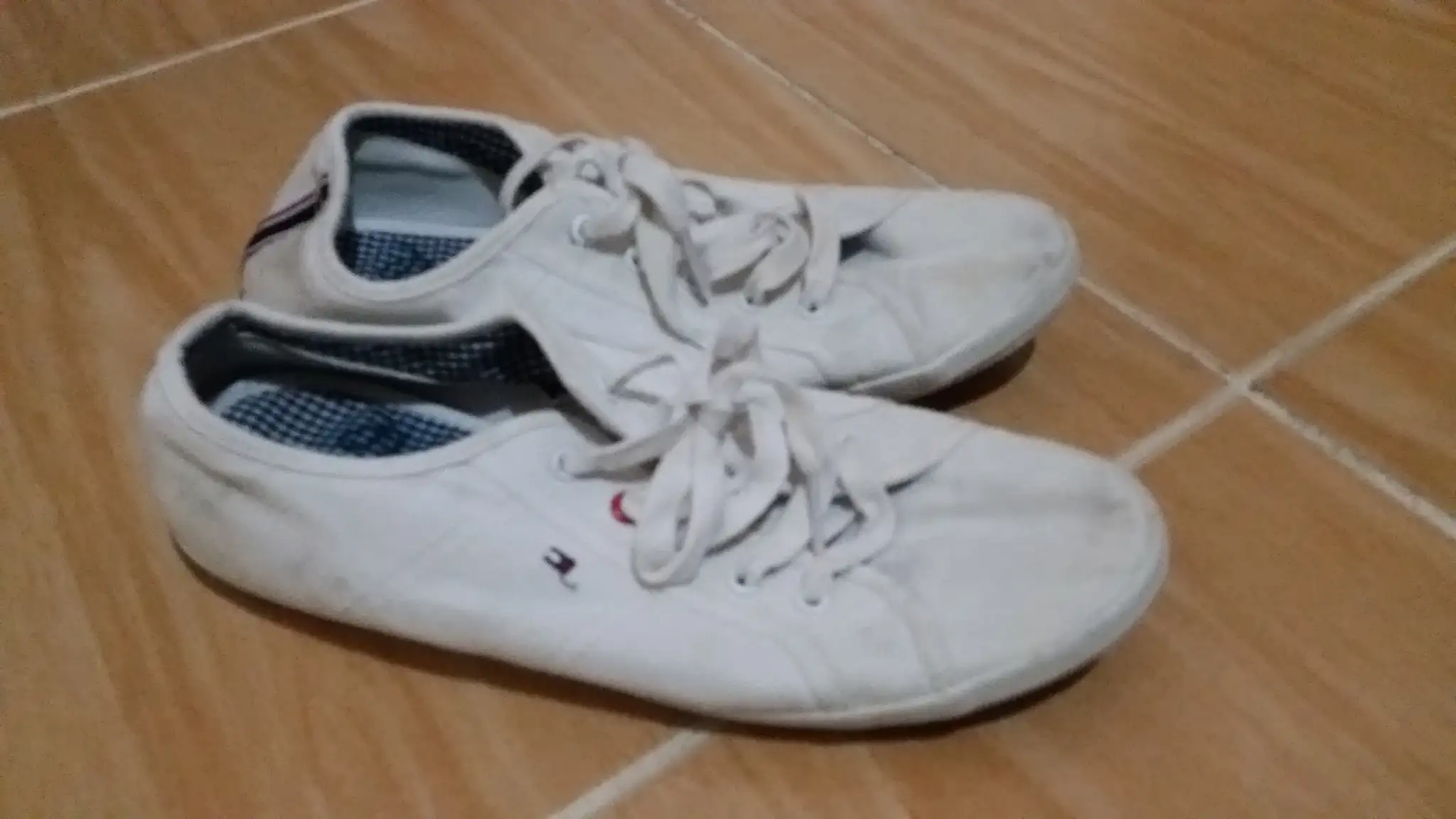 20140925_191717.webp