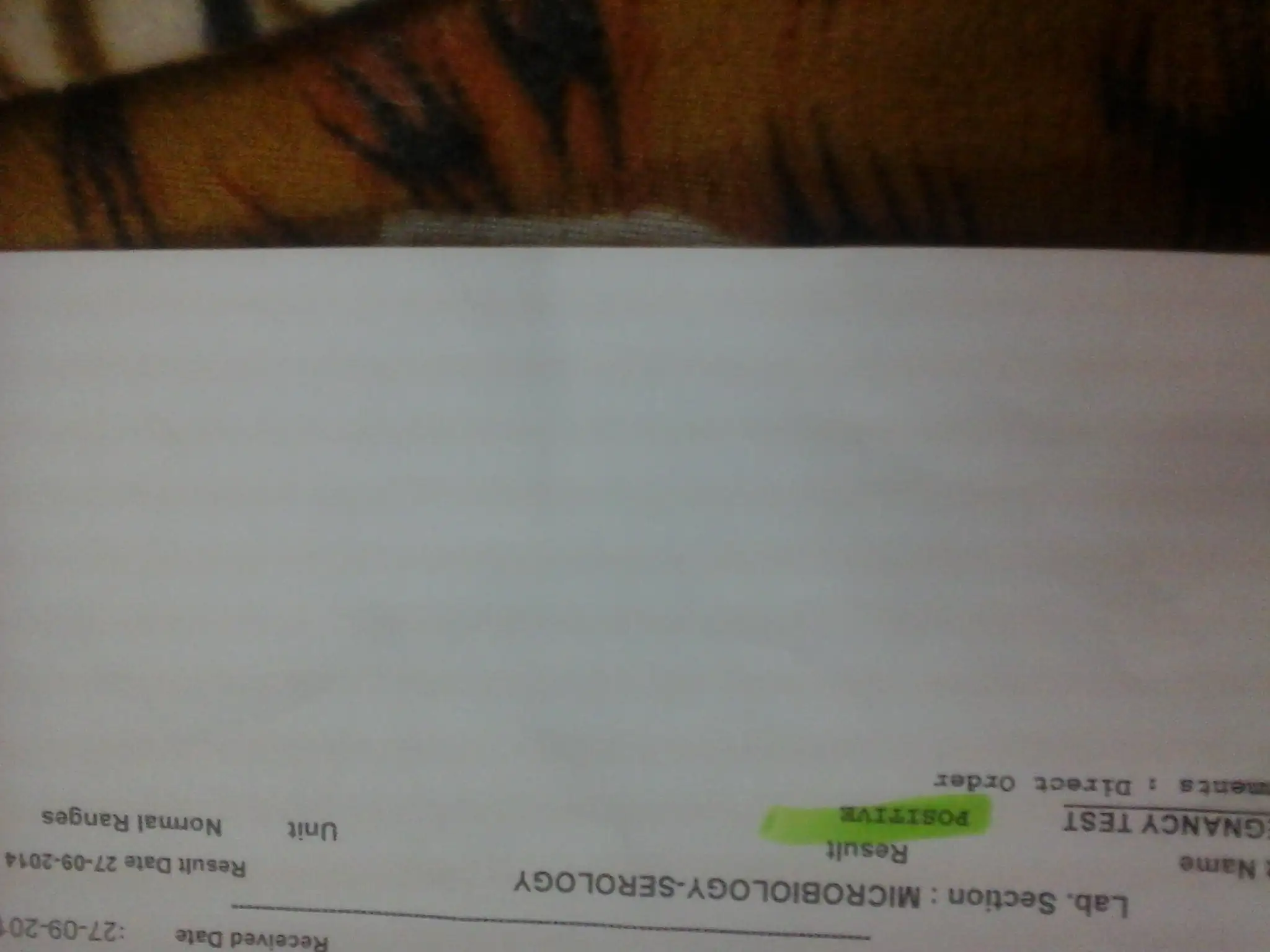 20140927_204530.webp