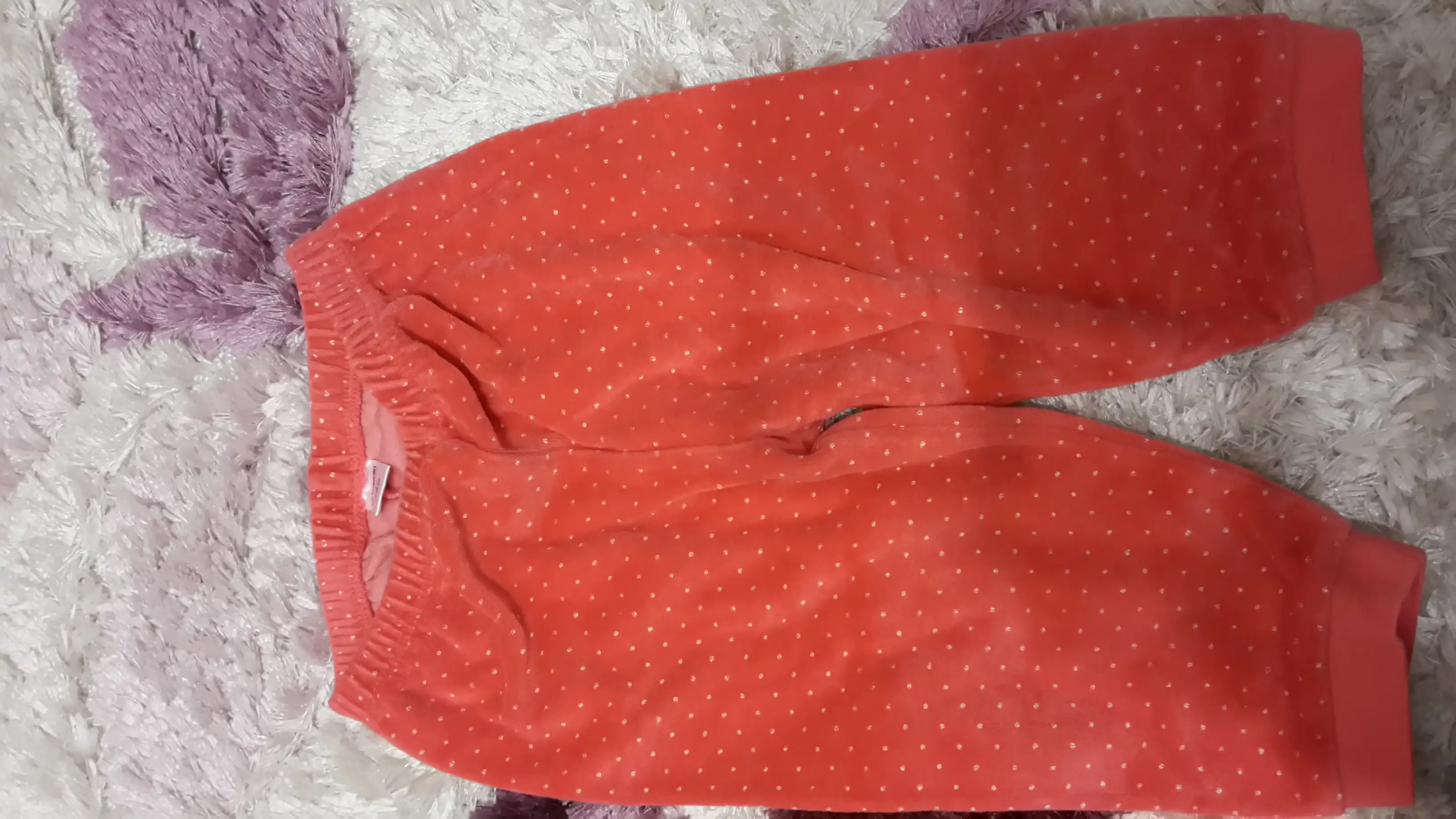 20141010_202635.webp