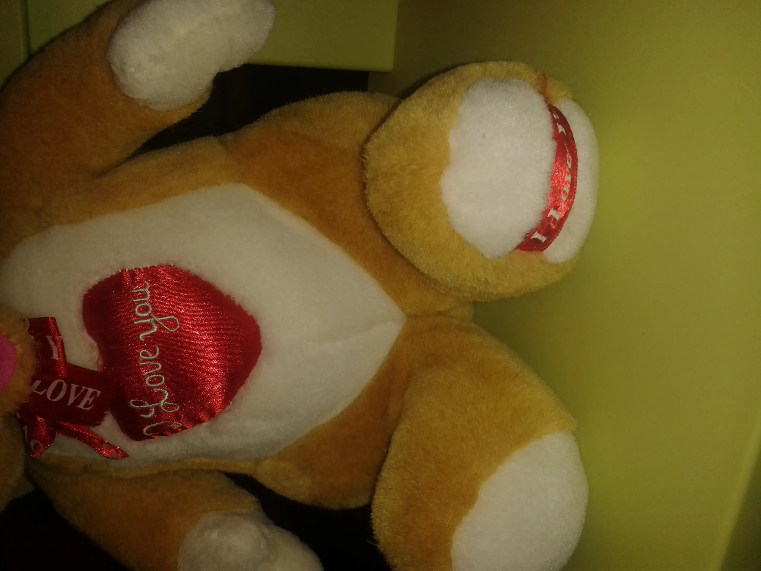 20141115_200243.webp