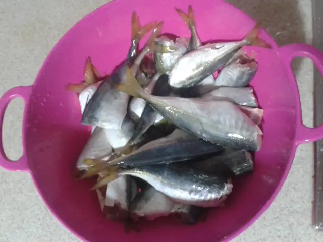 20141120_130139.webp