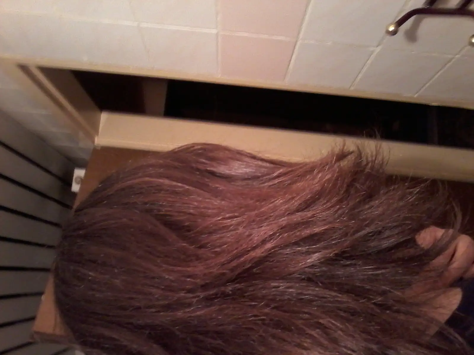 20141124_004950.webp
