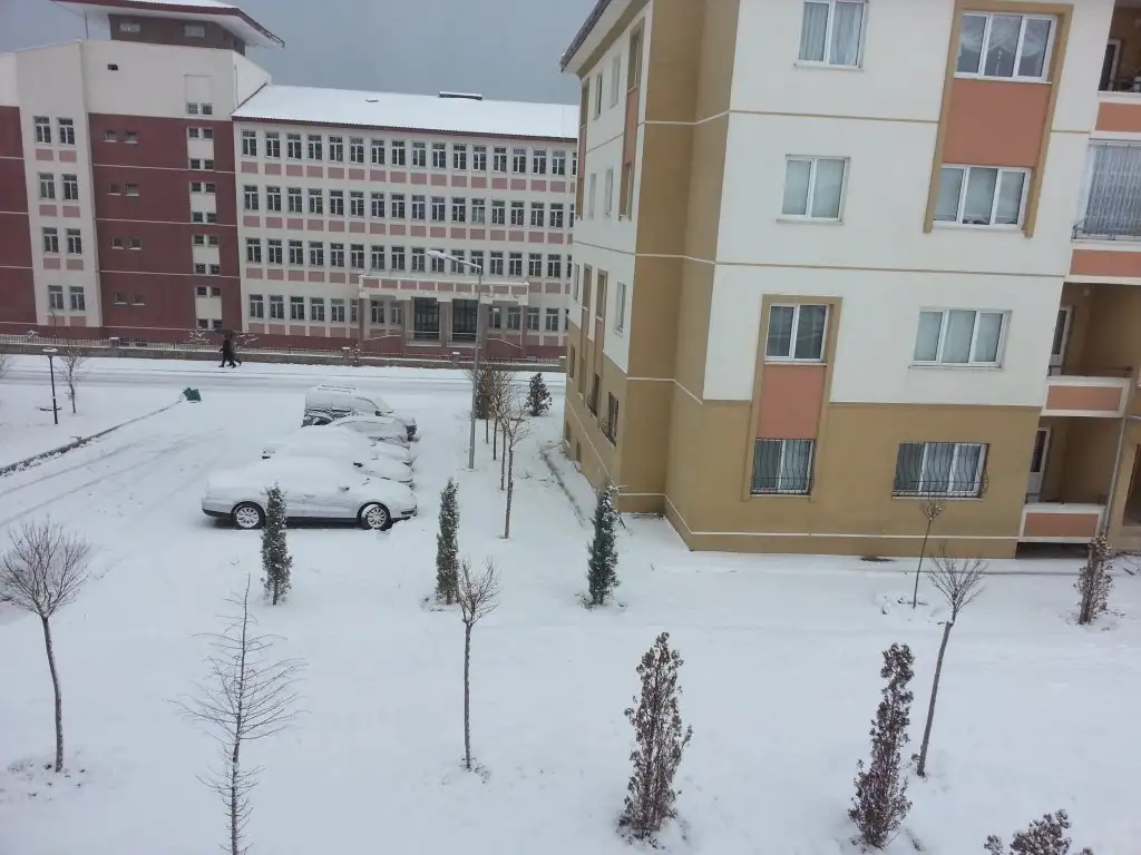 20141223_073306.webp
