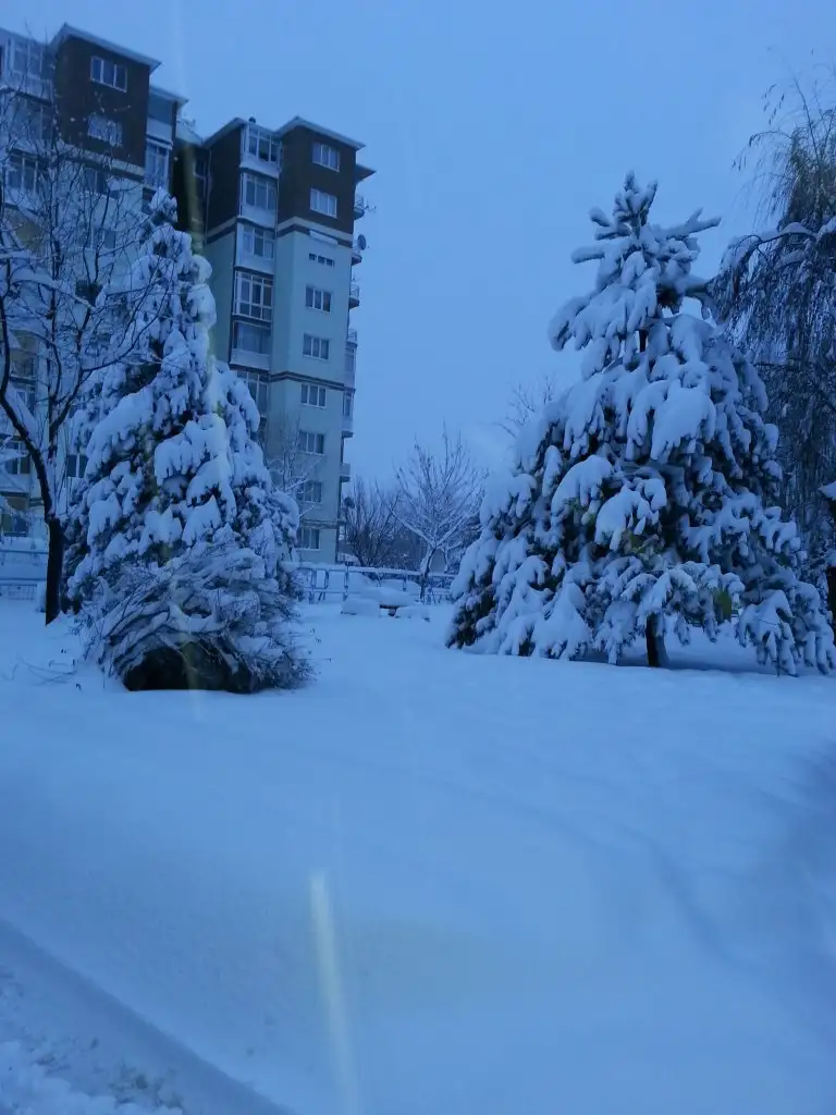 20141231_072059.webp